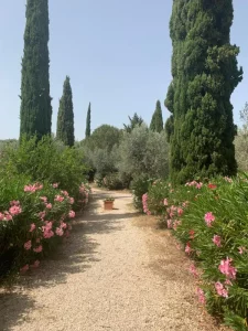 creative soul journeys italy retreat