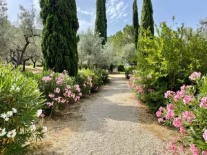 creative soul journeys italy retreat flowered path